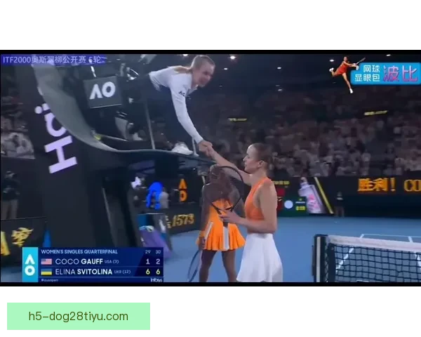 怒摔球拍直播高芙怒斥隐私缺失