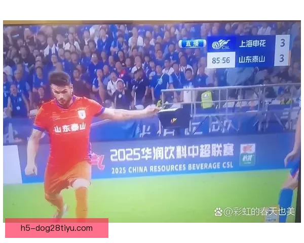 以瓦科首选泰山再战国安写传奇