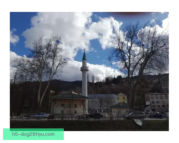 卡洛斯加盟波黑萨拉热窝队继续征战