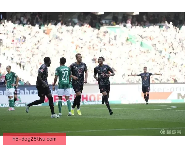 凯恩302球跻身五大联赛历史第八 凯恩302球跻身五大联赛历史第八