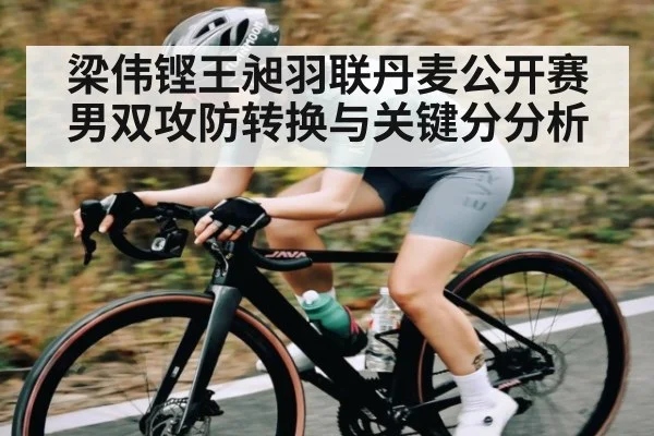 梁伟铿王昶羽联丹麦公开赛男双攻防转换与关键分分析